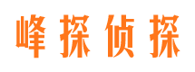 蝶山市场调查